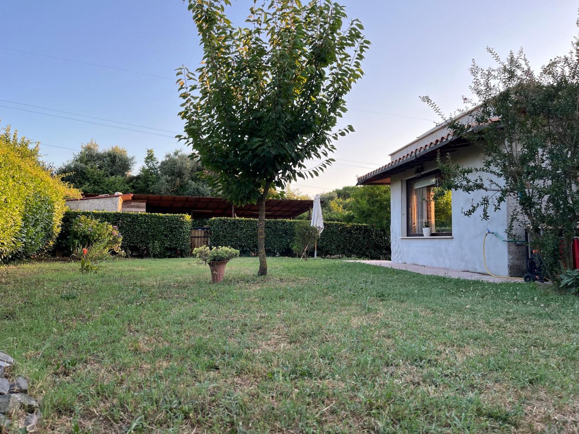 Myosotyss Apartment Zagarolo Exterior photo